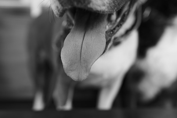0139
