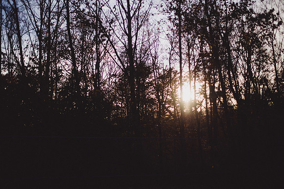 SAIHiddenPond0216