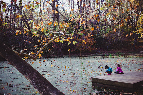 SAIHiddenPond0144