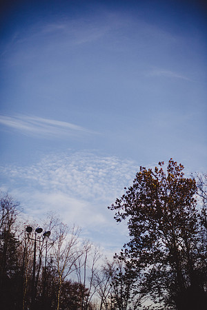 SAIHiddenPond0217