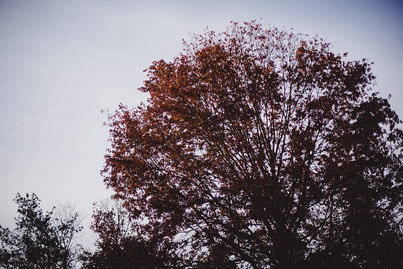 SAIHiddenPond0218