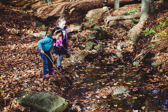 SAIHiddenPond0069