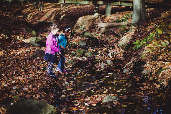 SAIHiddenPond0065