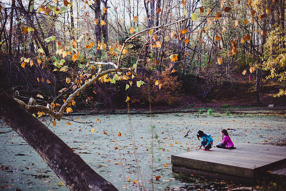 SAIHiddenPond0143
