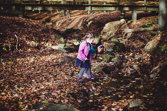 SAIHiddenPond0062